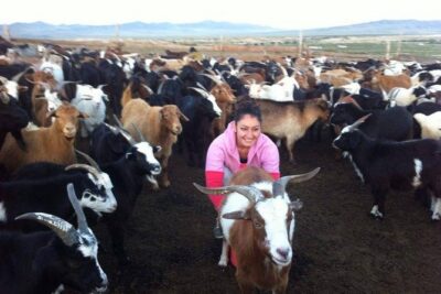 Overnight Semi-Gobi Tour with Nomadic HomeStay