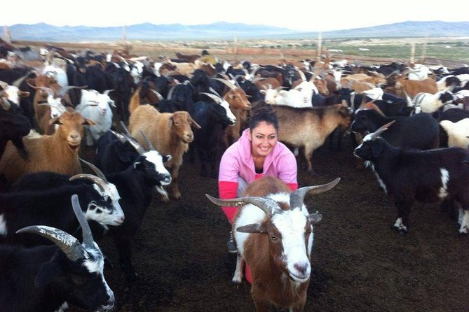 Overnight Semi-Gobi Tour with Nomadic HomeStay - The 280-kilometer road from Ulaanbaatar