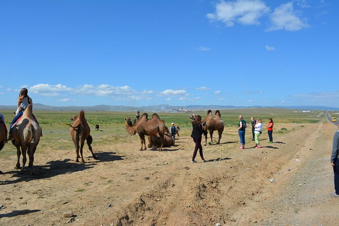 Private 3-Day Tour of National Parks From Ulaanbaatar - Day 3: Turtle Rock, Ariyabal, and a giant horseman