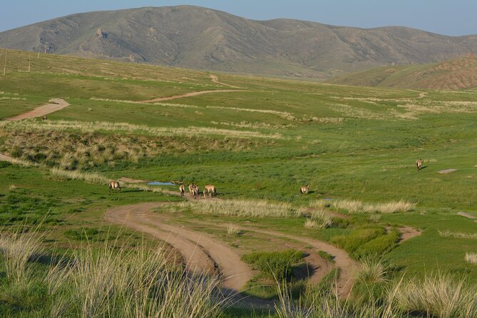 Private 3-Day Tour of National Parks From Ulaanbaatar - Day 2: Bogd Khan Mountain and the rock formations of Terelj