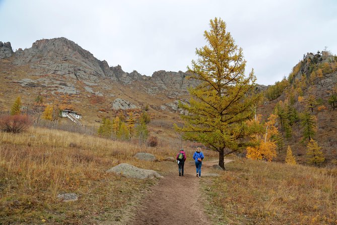 Private Day Tour: Terelj National Park and Genghis Khan Statue - Turtle Rock and the road through Gorkhi-Terelj