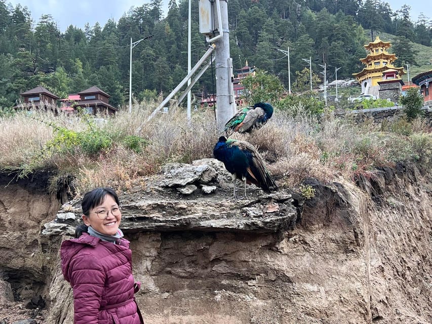 Sacred Landscapes: Exploring Aglag Buteel - Murals, Statues, and Buddhist Design
