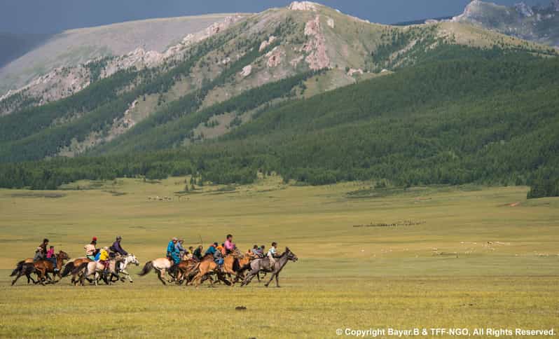 Terelj National Park: Tour with horse riding and hiking - What makes this Terelj tour worth your two days