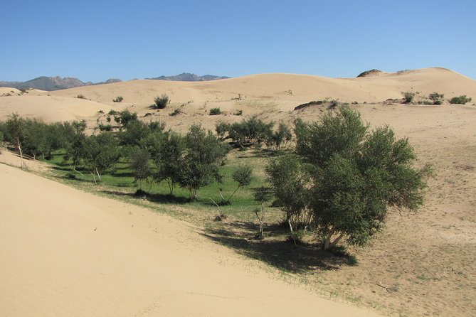 The Best of Central Mongolia Tour in 5 Days - Why this route works in only five days