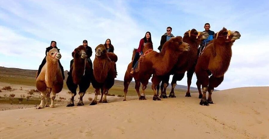 Ulaanbaatar: Semi-Gobi Desert Day Trip & Camel Ride - Is $175 a fair price?