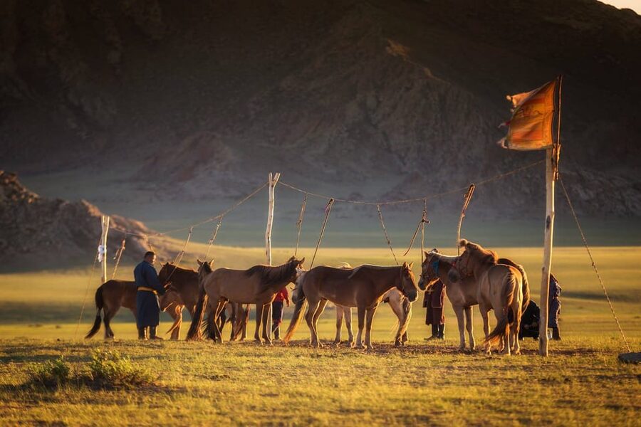 Ulaanbaatar: Semi-Gobi Desert Day Trip & Camel Ride - Inside a nomadic family’s ger