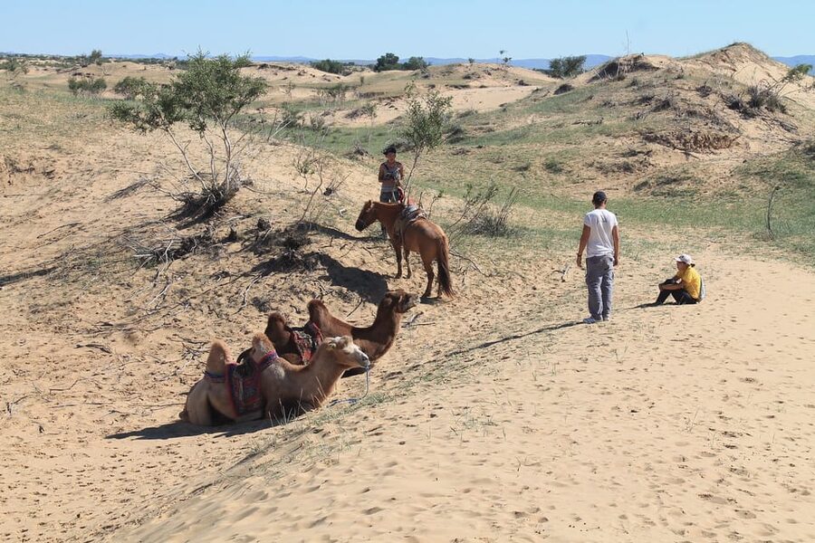 Ulaanbaatar: Semi-Gobi Desert Day Trip & Camel Ride - The guide and driver shape the whole day