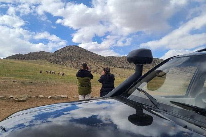 Wildlife Watching Day Tour at Hustai National Park - Why Hustai National Park is worth the drive